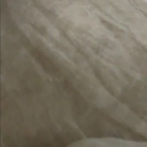 Meet your Posher, Charlotte